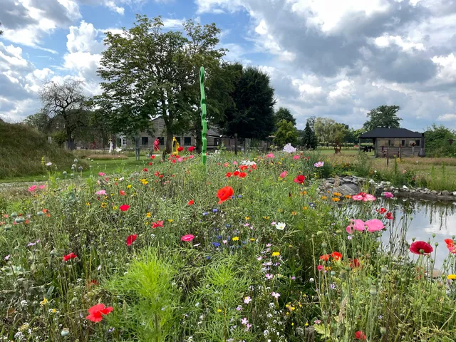 Kunstweibudel / Mini Camping Budel / 't Ouw-Ateljeeke B&B