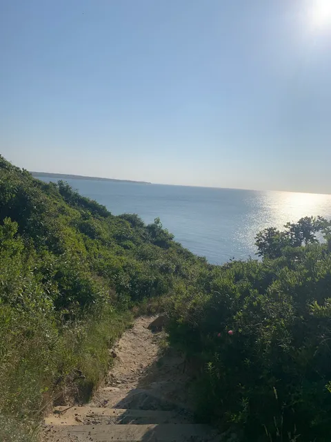 Chilmark Flea Market