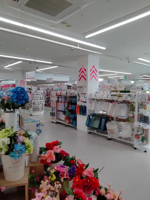 DAISO