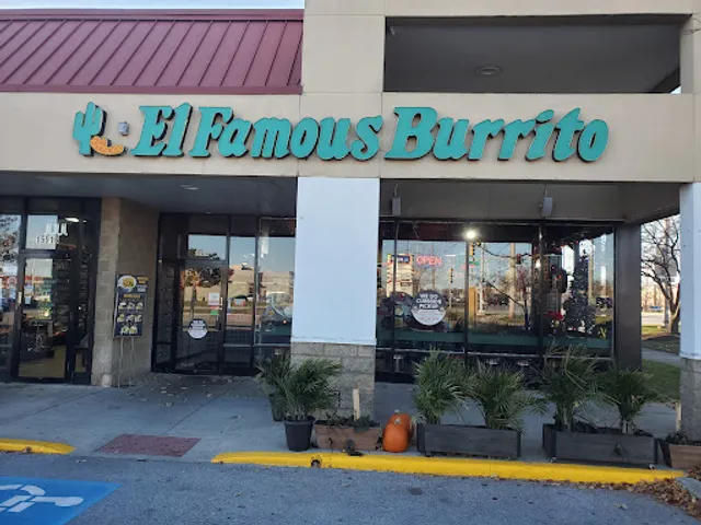 El Famous Burrito[159th/Harlem]