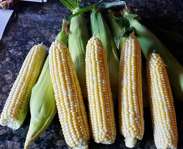 Axdahl's Garden Farm & Greenhouse