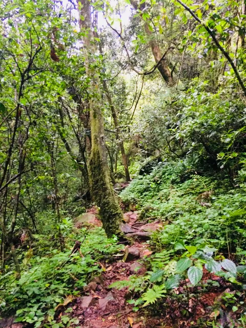Fanie Botha Hiking Trail