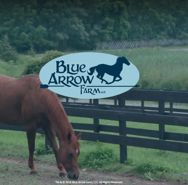 Blue Arrow Farm