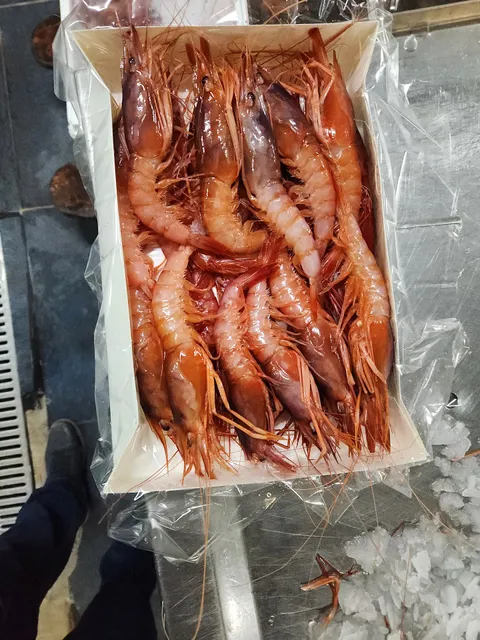 Το Τεμπελιό - τσιπουράδικο