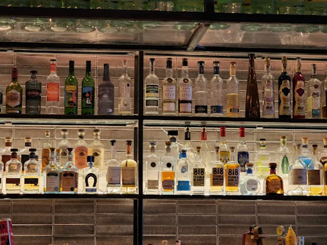 Elephant and The Dove