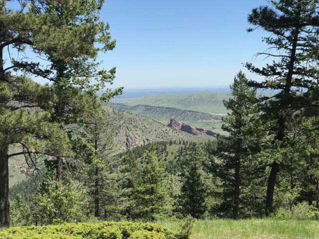 Mt Falcon Hiking Trail