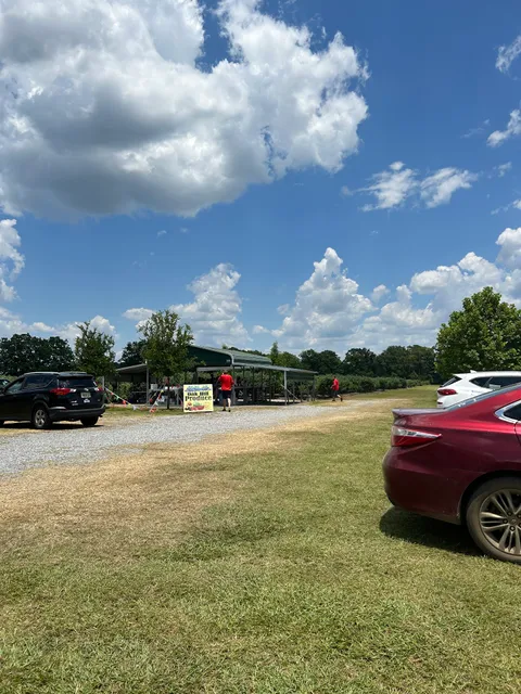 Oak Hill Tree Farm LLC