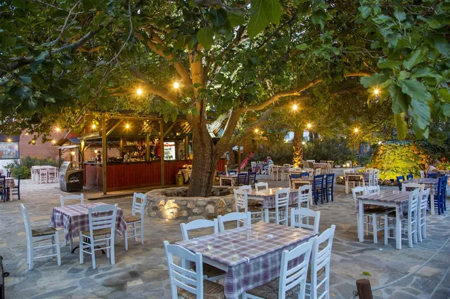 Oasis Grill Restaurant