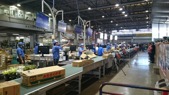 Sendai Central Wholesale Flower Market