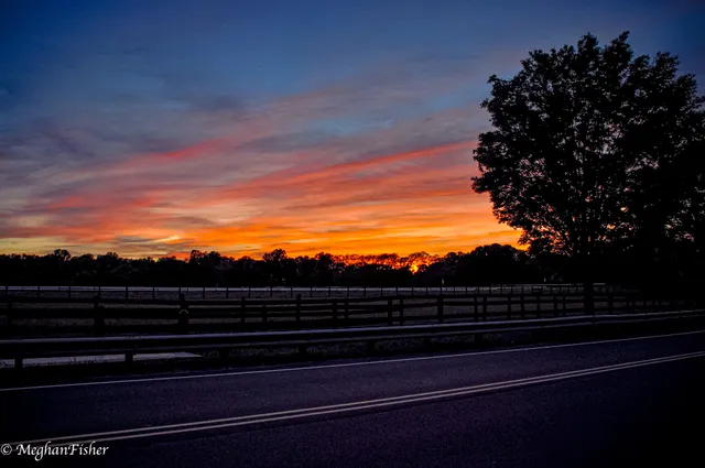 Colts Neck Stables LLC