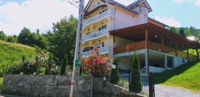 PENSIUNEA BRĂDET BORȘA