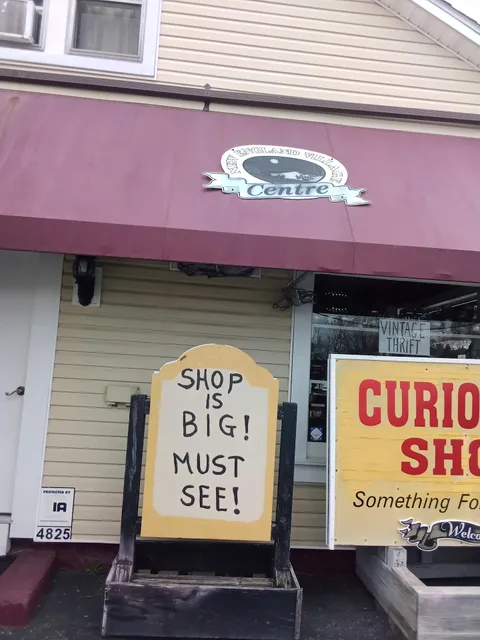 The Curiosity Shop - Vintage Thrift