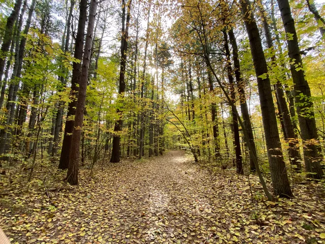 Midland City Forest Park