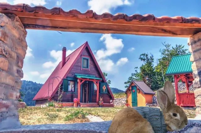 Mountain guest house Brestova Draga