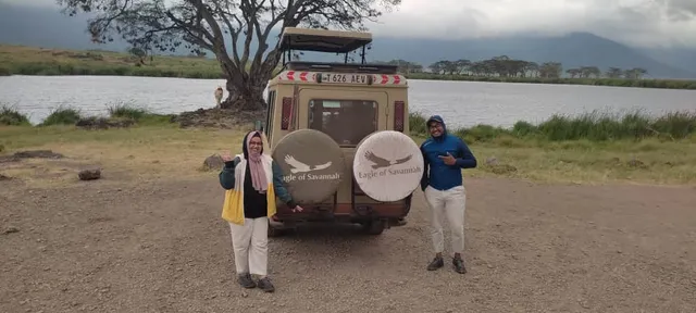 Savannah eagle travel