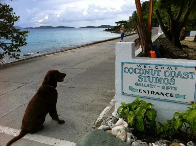 Coconut Coast Studios