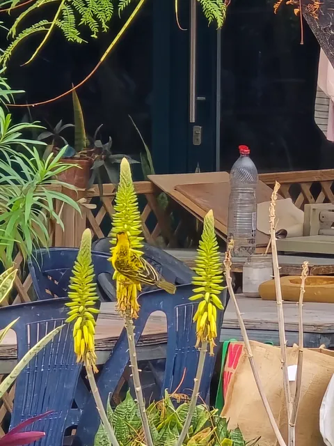 Village artisanal de l'éperon