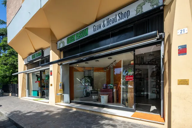 Green Passion - Canapaio & Games Modena