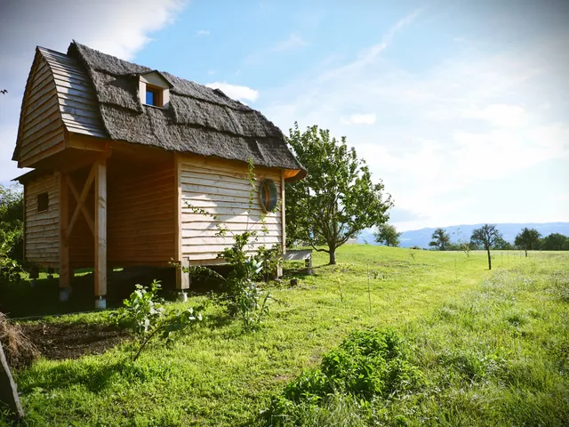 Cabane du vrai monde