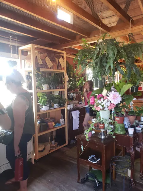 Honest Thrift Studio & Plants