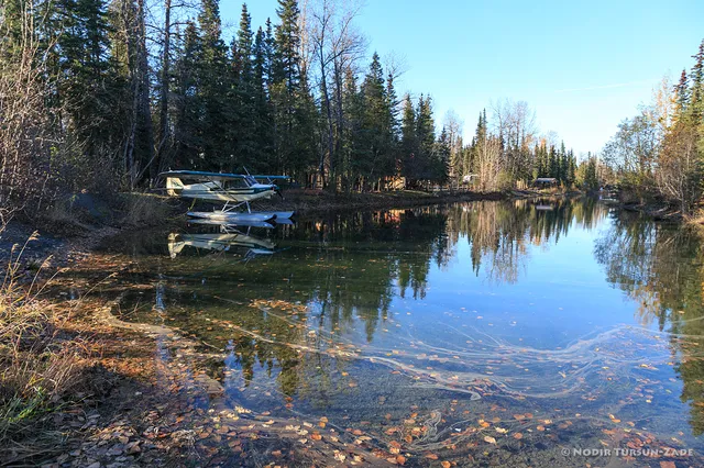 Dot's Kenai River Camp