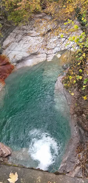 photo-1