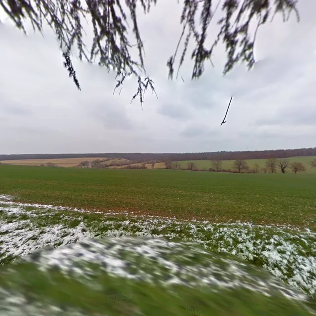 Domaine Du Bouscassé