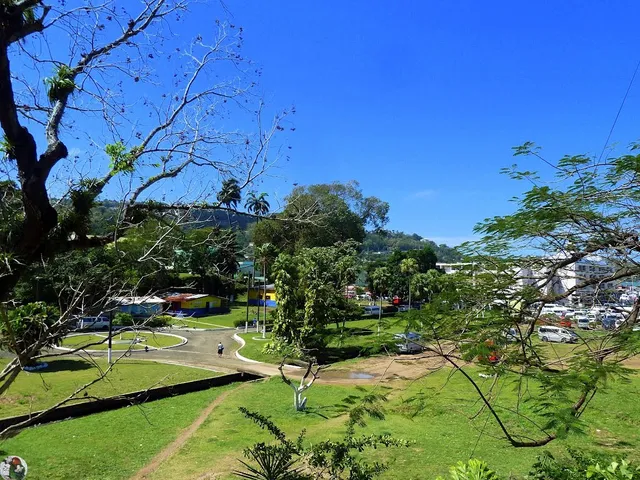 7 A Live Restaurant & Bar