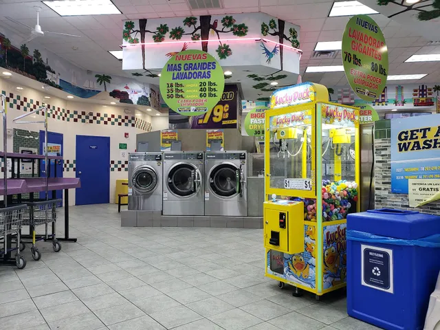 Laundry Factory & Dry Cleaning