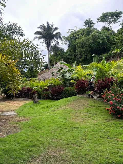 Colibrí Parque Tayrona
