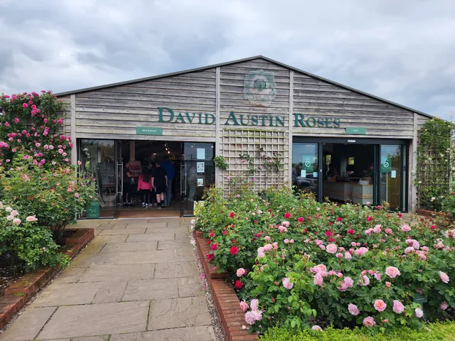 David Austin Roses Ltd