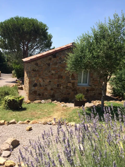 Le mazet aux oliviers