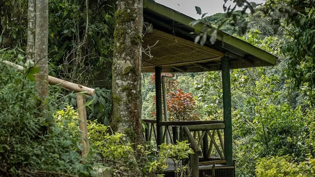 Gorilla Hills Eco-Lodge Bwindi