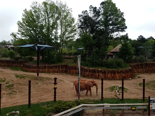 Savanna Hall at Zoo Atlanta