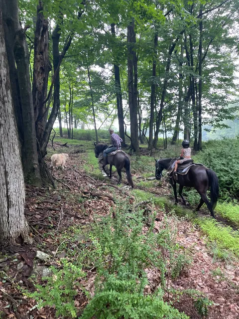 Deer Path Riding Stable