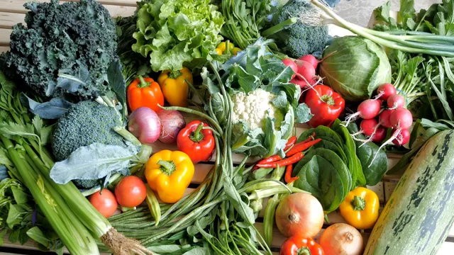 Great Joy Family Farm