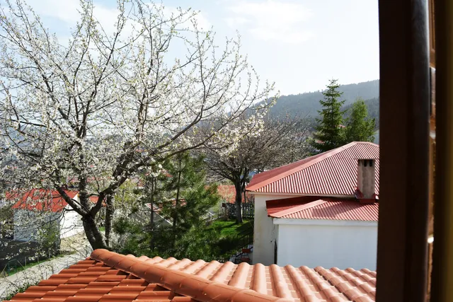 Diaselo 1500m/ Διάσελο 1500μ