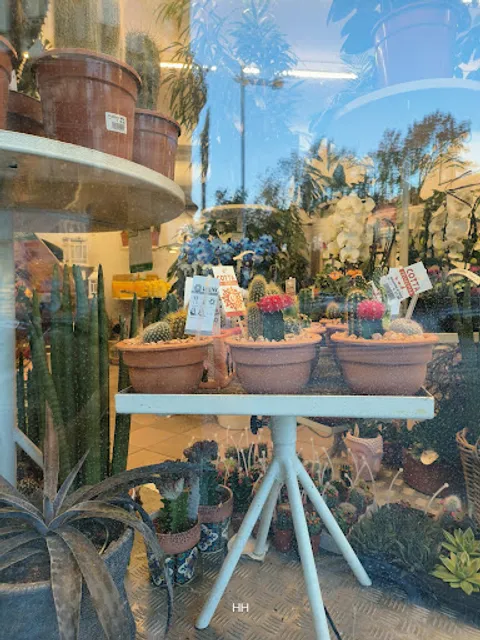 Ammi´s Kitchen Wien