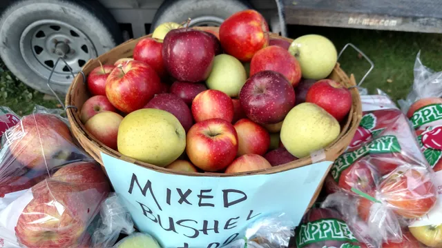 Cassville Oktoberfest