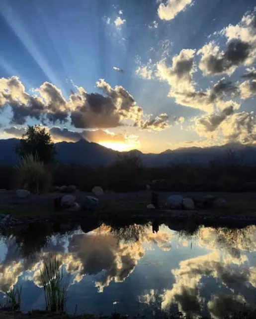 Bodega Gimenez Riili