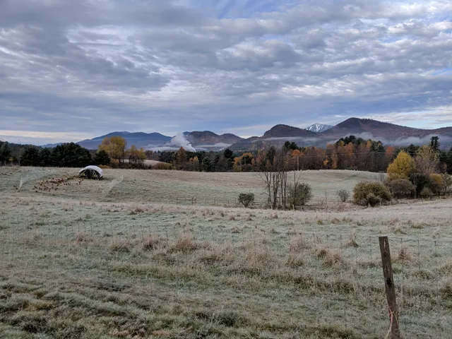 BLUE PEPPER FARM LLC