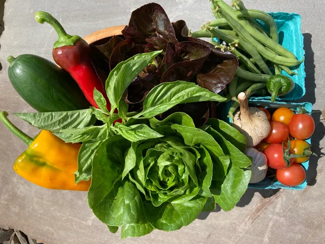 Thirsty Fruit Farm LLC