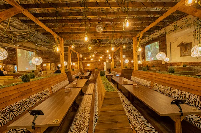 Mundo Animal Lanchonete Temática - Comidas e Bebidas em Petrolina