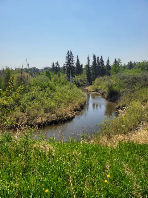 Blackburne Park and playground