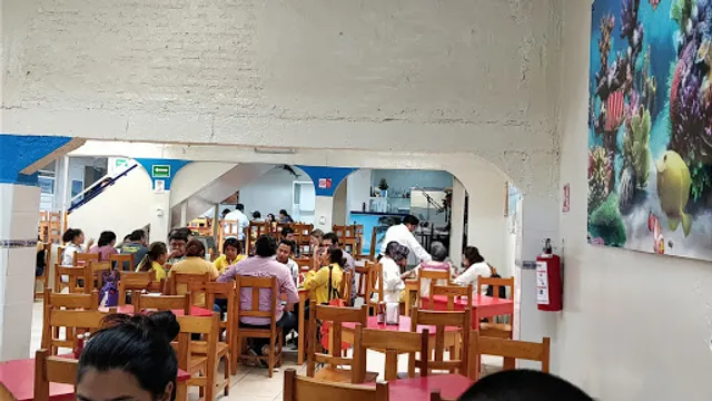 [5 de Mayo] Restaurant