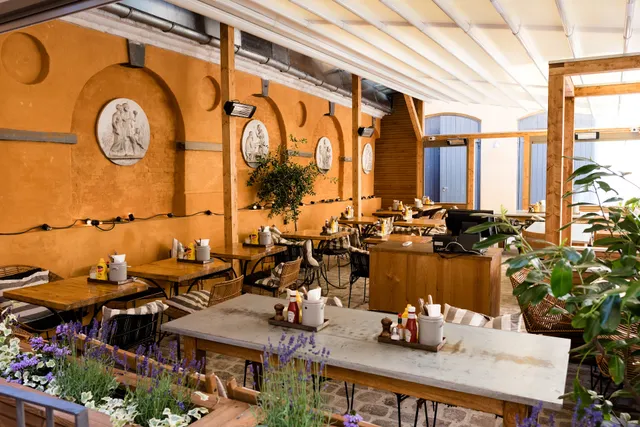 Cocks & Cows Gammel Strand