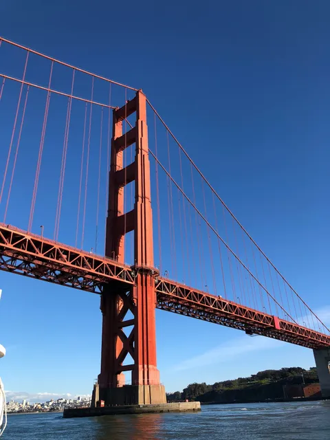 Just Dreaming Yacht Charters