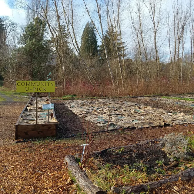 Rainier Beach Urban Farm and Wetlands