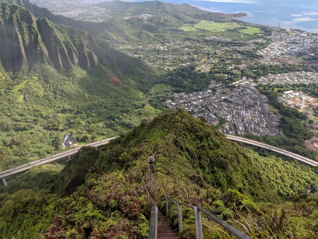 Kāne‘Ohe Forest Reserve