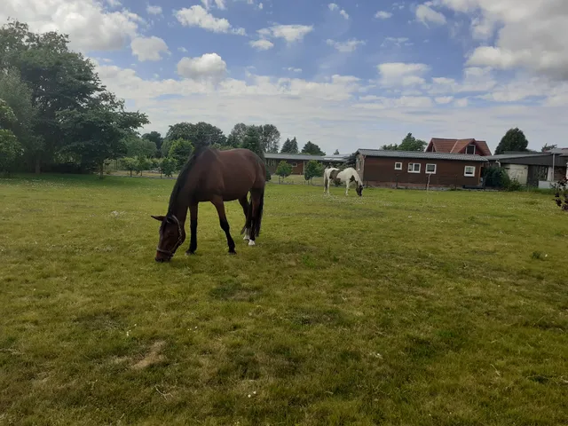 Ferienwohnungen Milow